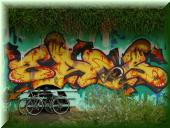 Freiburg Schwabentor Brue