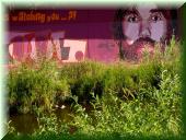 Freiburg Schwabentor Brue