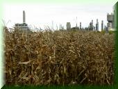 Ma Friesenheimner Insel B