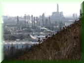 Ma Friesenheimer Insel B