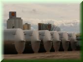 Ma Friesenheimer Insel