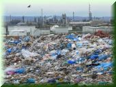 Ma Friesenheimer Insel